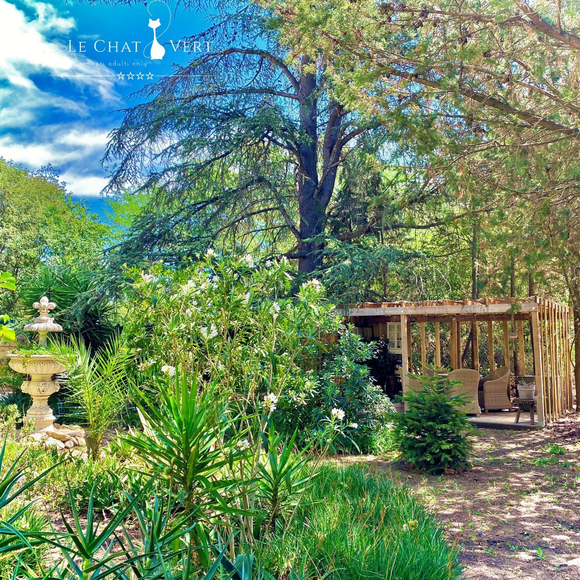Saint-André Le Chat Vert - Appartements Adults Only מראה חיצוני תמונה